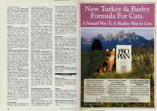 Better Homes & Gardens March 1993 Magazine Article: Page 206