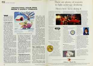 Better Homes & Gardens March 1993 Magazine Article: Page 210