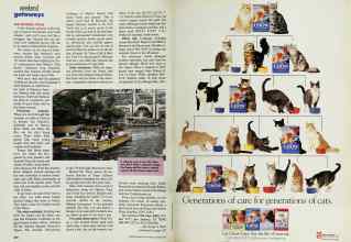 Better Homes & Gardens March 1993 Magazine Article: Page 220