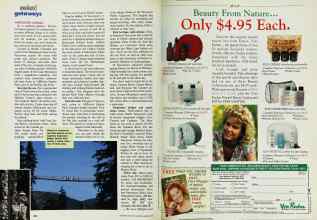 Better Homes & Gardens March 1993 Magazine Article: Page 224