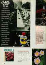 Better Homes & Gardens April 1993 Magazine Article: PINK PANDA STRAWBERRY