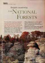 Better Homes & Gardens April 1993 Magazine Article: Bargain vacationing in our NATIONAL FORESTS