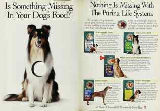 Better Homes & Gardens April 1993 Magazine Article: Page 2