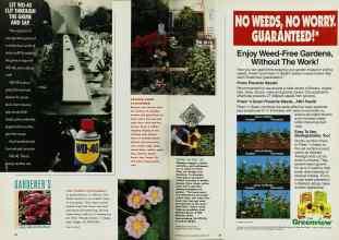 Better Homes & Gardens April 1993 Magazine Article: FENCE-LINE FLOWERS