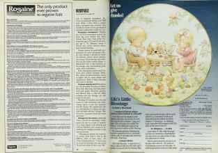 Better Homes & Gardens April 1993 Magazine Article: Page 88