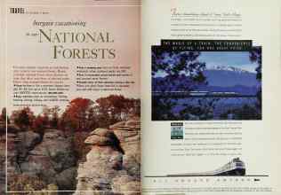 Better Homes & Gardens April 1993 Magazine Article: Page 204