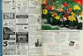 Better Homes & Gardens April 1993 Magazine Article: Page 218
