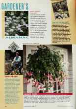 Better Homes & Gardens May 1993 Magazine Article: DON'T FORGET THE FLAX