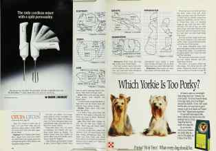 Better Homes & Gardens June 1993 Magazine Article: Page 42