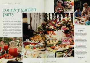 Better Homes & Gardens June 1993 Magazine Article: Page 136
