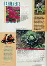 Better Homes & Gardens July 1993 Magazine Article: A CUT ABOVE THE REST