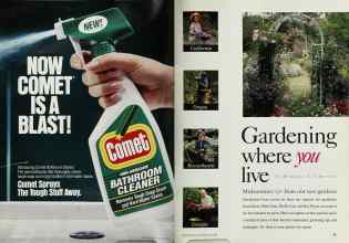 Better Homes & Gardens July 1993 Magazine Article: Page 34