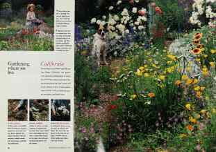 Better Homes & Gardens July 1993 Magazine Article: Page 36