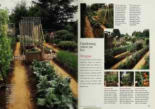 Better Homes & Gardens July 1993 Magazine Article: Page 38