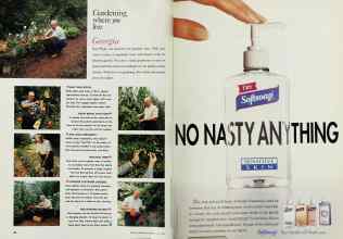 Better Homes & Gardens July 1993 Magazine Article: Page 42