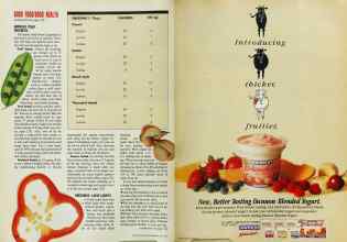 Better Homes & Gardens July 1993 Magazine Article: Page 130
