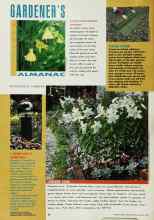 Better Homes & Gardens August 1993 Magazine Article: A SECOND LOOK AT GAZING BALLS