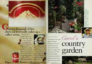 Better Homes & Gardens August 1993 Magazine Article: Page 14