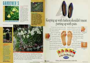 Better Homes & Gardens August 1993 Magazine Article: Page 22