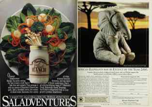 Better Homes & Gardens August 1993 Magazine Article: Page 86