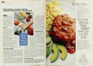 Better Homes & Gardens August 1993 Magazine Article: Page 132