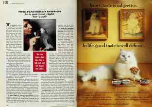 Better Homes & Gardens August 1993 Magazine Article: Page 146