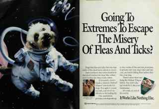 Better Homes & Gardens September 1993 Magazine Article: Page 86