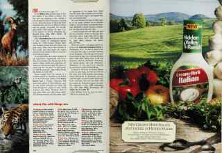 Better Homes & Gardens September 1993 Magazine Article: Page 180