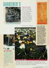 Better Homes & Gardens October 1993 Magazine Article: WINTERIZE ROSES
