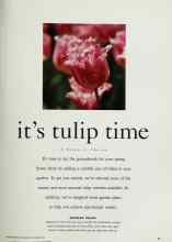 Better Homes & Gardens October 1993 Magazine Article: It's tulip time