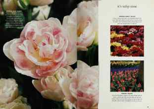 Better Homes & Gardens October 1993 Magazine Article: Page 22