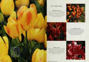 Better Homes & Gardens October 1993 Magazine Article: Page 24