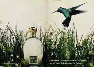 Better Homes & Gardens October 1993 Magazine Article: Page 98