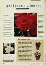 Better Homes & Gardens November 1993 Magazine Article: THE TIME TO PLANT MIRACLES
