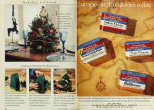 Better Homes & Gardens December 1993 Magazine Article: Page 28