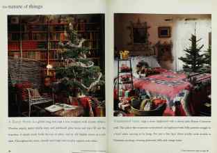 Better Homes & Gardens December 1993 Magazine Article: Page 66