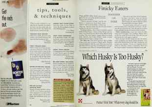 Better Homes & Gardens December 1993 Magazine Article: Page 178