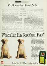 Better Homes & Gardens January 1994 Magazine Article: Walk on the Tame Side