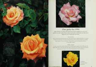 Better Homes & Gardens January 1994 Magazine Article: Page 20