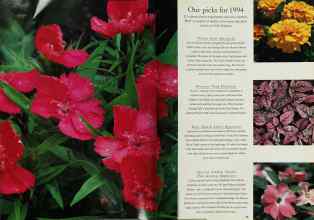 Better Homes & Gardens January 1994 Magazine Article: Page 22