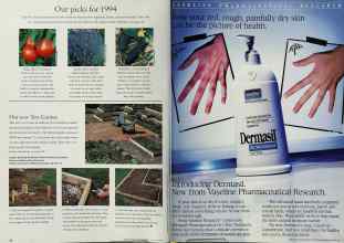 Better Homes & Gardens January 1994 Magazine Article: Page 24