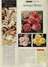 Better Homes & Gardens February 1994 Magazine Article: Antique Roses