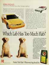 Better Homes & Gardens February 1994 Magazine Article: PONY PIZZAZZ