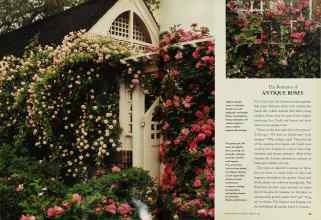 Better Homes & Gardens February 1994 Magazine Article: Page 24
