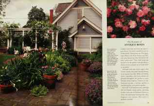 Better Homes & Gardens February 1994 Magazine Article: Page 28