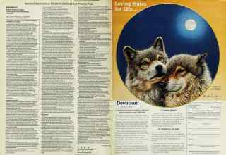 Better Homes & Gardens February 1994 Magazine Article: Page 82