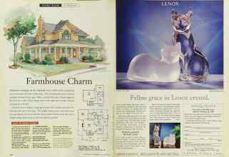 Better Homes & Gardens February 1994 Magazine Article: Page 176