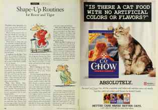 Better Homes & Gardens February 1994 Magazine Article: Page 182