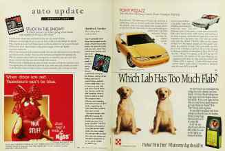 Better Homes & Gardens February 1994 Magazine Article: Page 186