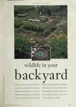 Better Homes & Gardens March 1994 Magazine Article: Wildlife in your backyard